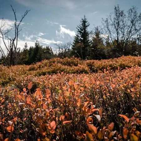 Look Into The Country Comfortable * Kurort Bärenburg